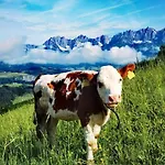 Bauernhof Sinnersberg * Kitzbühel