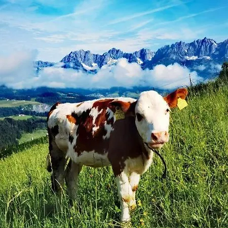 Bauernhof Sinnersberg * Кіцбюель