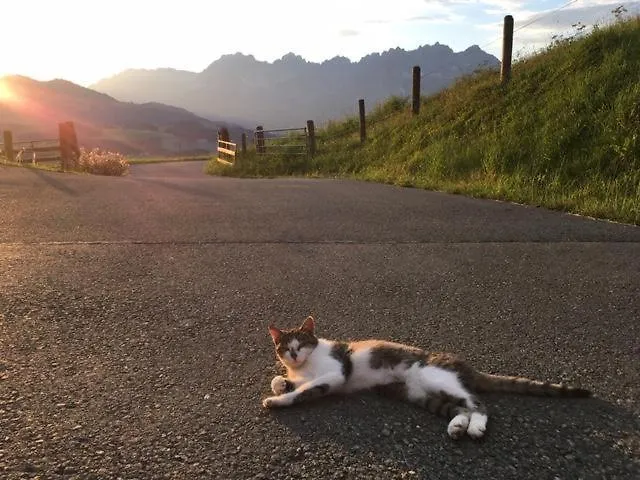 Agroturismo Bauernhof Sinnersberg Kitzbühel
