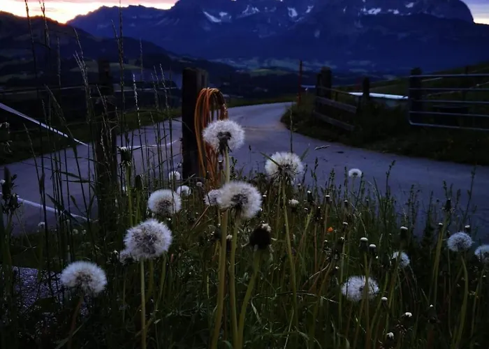 Agroturismo Bauernhof Sinnersberg Kitzbühel