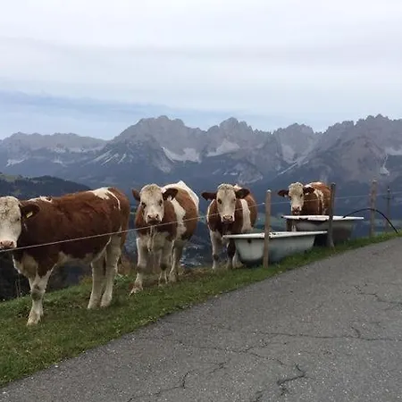 Farm stay Bauernhof Sinnersberg