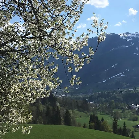مزرعة للإقامة Bauernhof Sinnersberg كيتزبوهيل